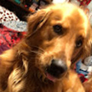 Meet your Posher, Nadia